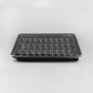 1036 초밥용기 바디